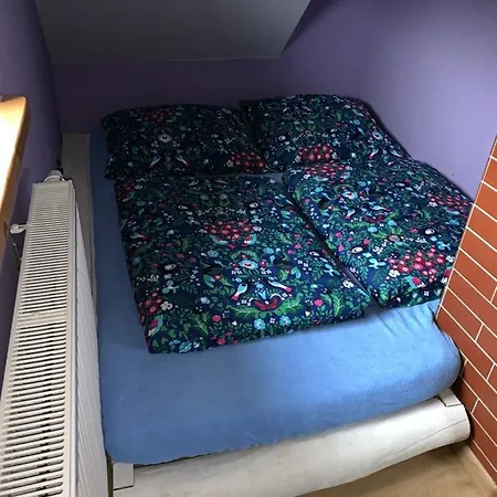 Pod Papugami 山林小屋 *