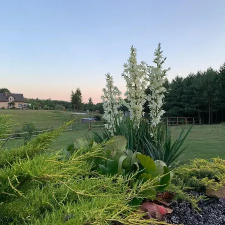 Pod Papugami 山林小屋