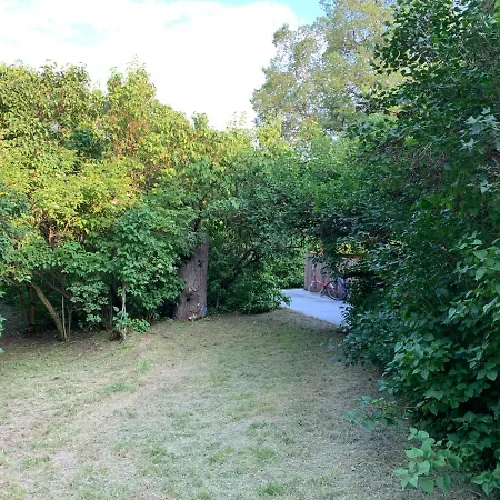 Pod Papugami 山林小屋 *