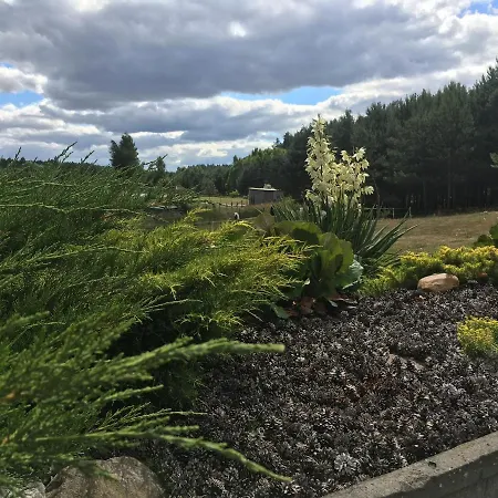 Pod Papugami 山林小屋 Prabuty (Kwidzyn)