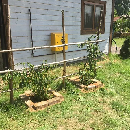 Pod Papugami Prabuty (Kwidzyn)