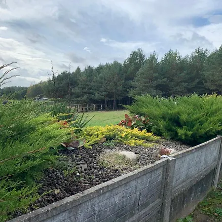 Pod Papugami * Prabuty (Kwidzyn)