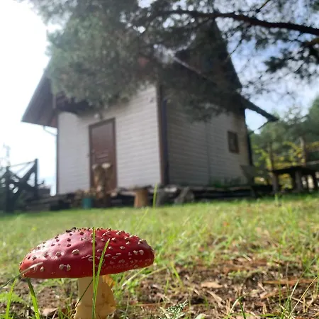 Pod Papugami Domek letniskowy