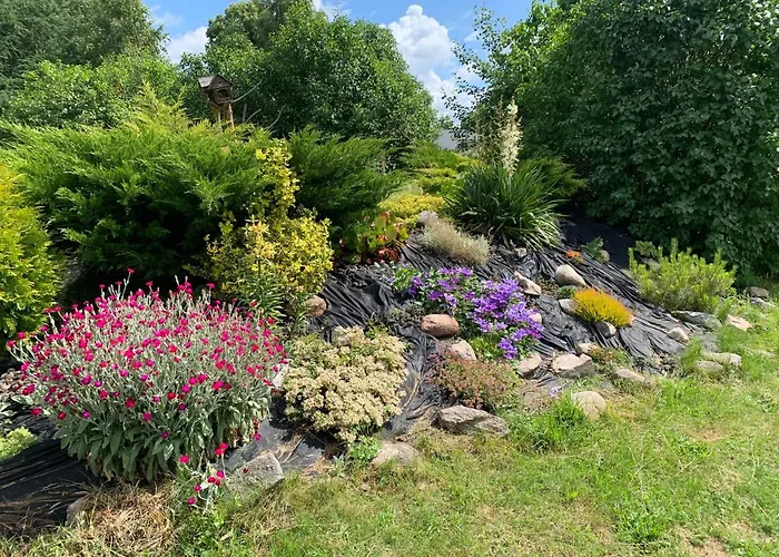 Pod Papugami Hytte *