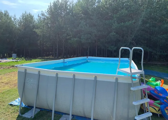 Pod Papugami * Prabuty (Kwidzyn)