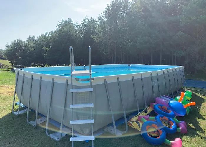 Pod Papugami * Prabuty (Kwidzyn)