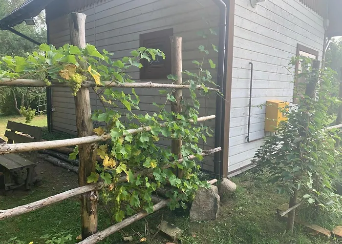 Hytte Pod Papugami Prabuty (Kwidzyn)