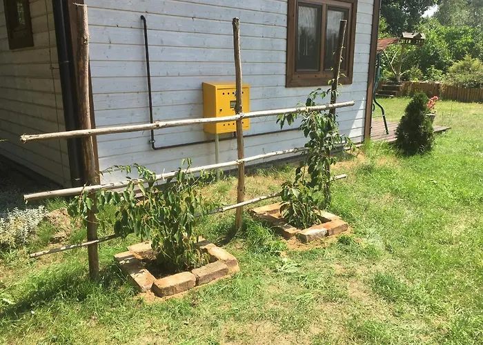 Pod Papugami Prabuty (Kwidzyn)