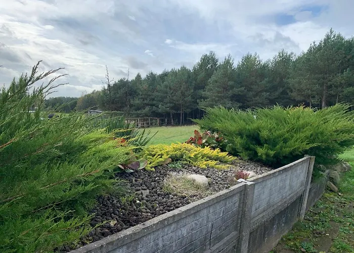 Pod Papugami * Prabuty (Kwidzyn)